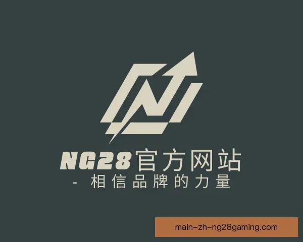 关于NG28